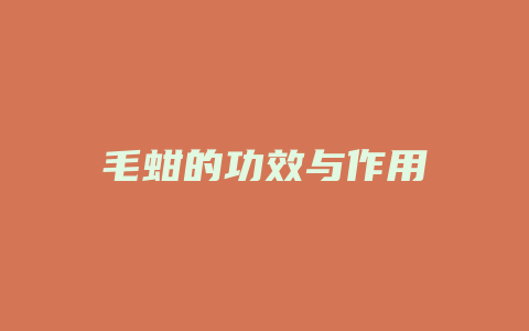 毛蚶的功效与作用