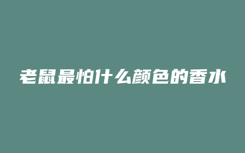 老鼠最怕什么颜色的香水