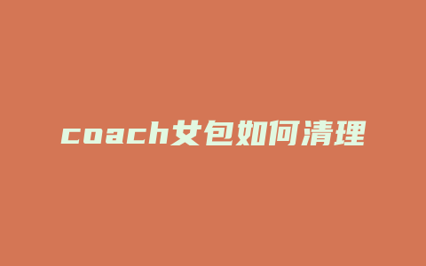 coach女包如何清理