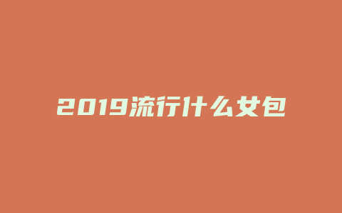 2019流行什么女包