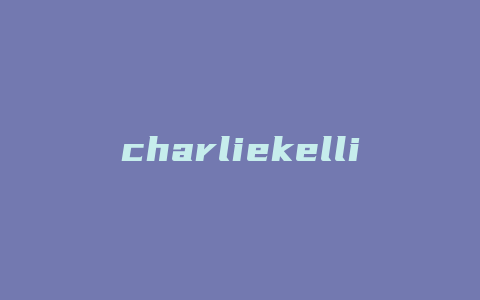 charliekelli女包什么档次