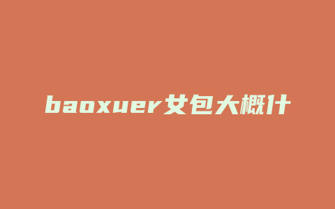 baoxuer女包大概什么