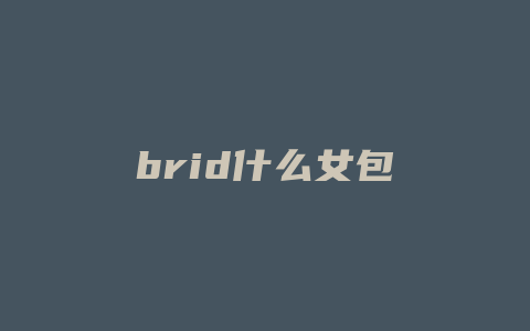 brid什么女包