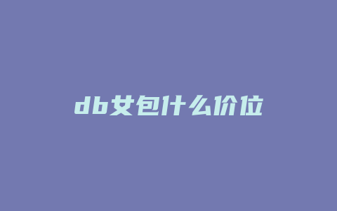 db女包什么价位