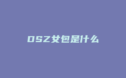 DSZ女包是什么