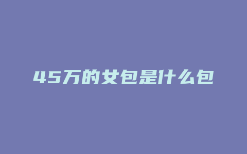 45万的女包是什么包