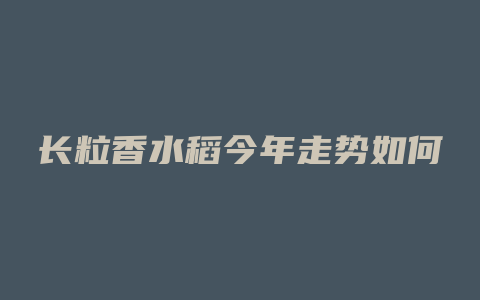 长粒香水稻今年走势如何