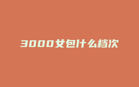 3000女包什么档次