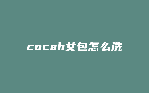 cocah女包怎么洗