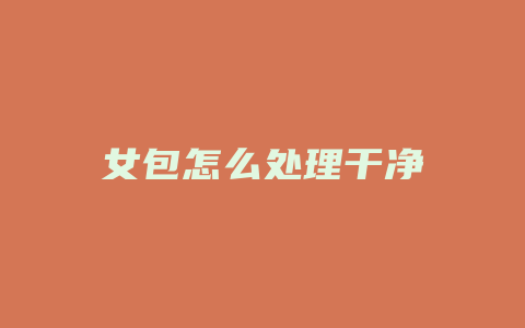 女包怎么处理干净