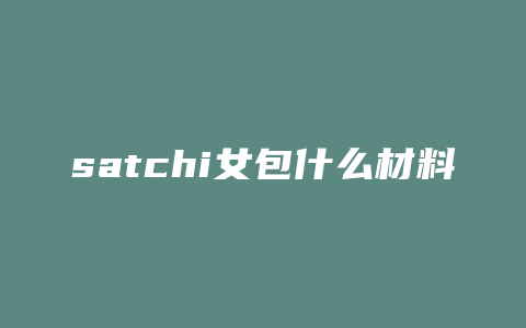 satchi女包什么材料