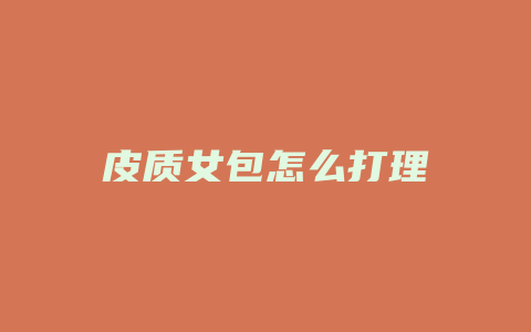 皮质女包怎么打理