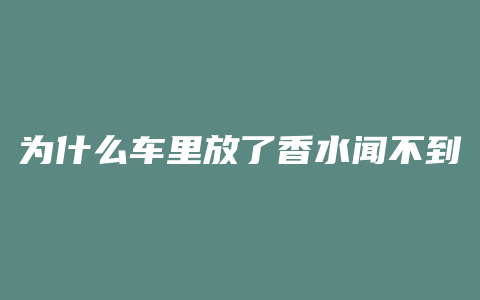 为什么车里放了香水闻不到