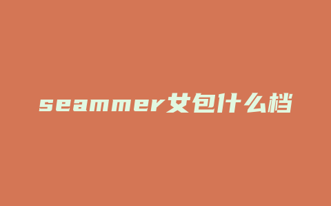 seammer女包什么档次