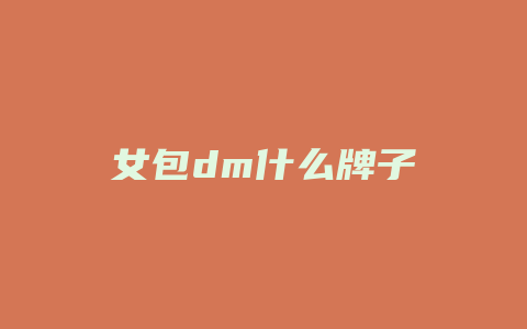 女包dm什么牌子