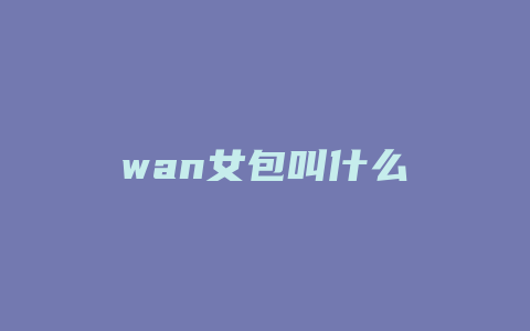 wan女包叫什么