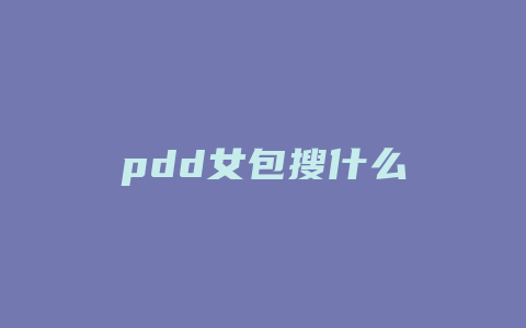 pdd女包搜什么