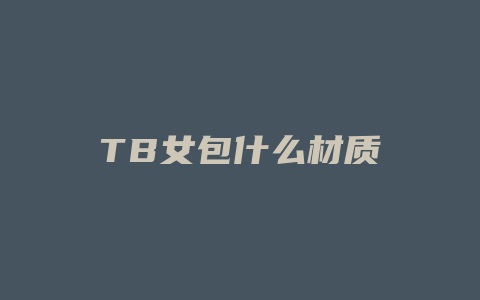 TB女包什么材质