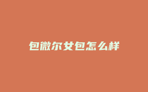 包微尔女包怎么样