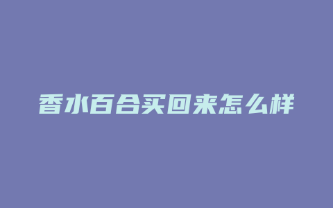 香水百合买回来怎么样