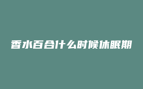 香水百合什么时候休眠期