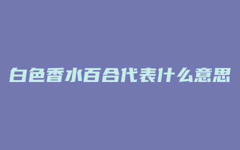 白色香水百合代表什么意思