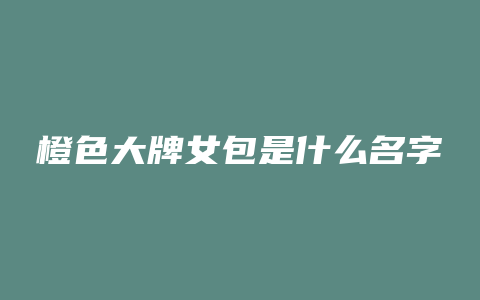 橙色大牌女包是什么名字