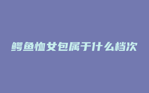 鳄鱼恤女包属于什么档次