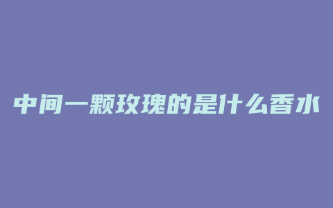 中间一颗玫瑰的是什么香水