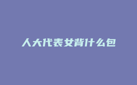 人大代表女背什么包