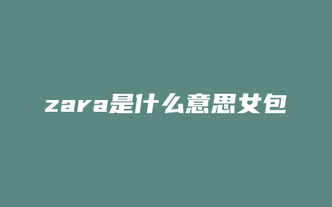 zara是什么意思女包