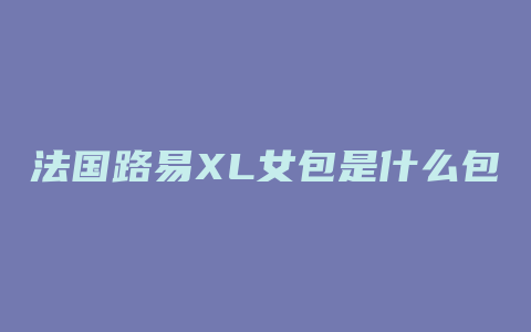 法国路易XL女包是什么包