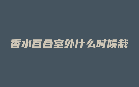 香水百合室外什么时候栽