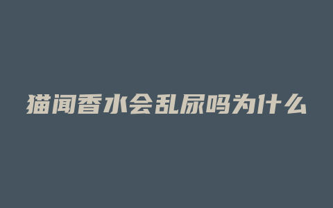 猫闻香水会乱尿吗为什么