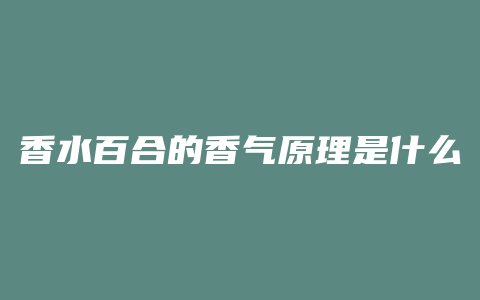 香水百合的香气原理是什么