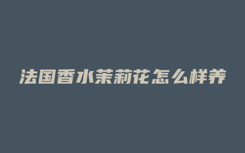 法国香水茉莉花怎么样养