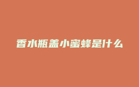 香水瓶盖小蜜蜂是什么